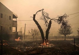 Al menos dos muertos y dos bomberos heridos por un incendio forestal en Grecia