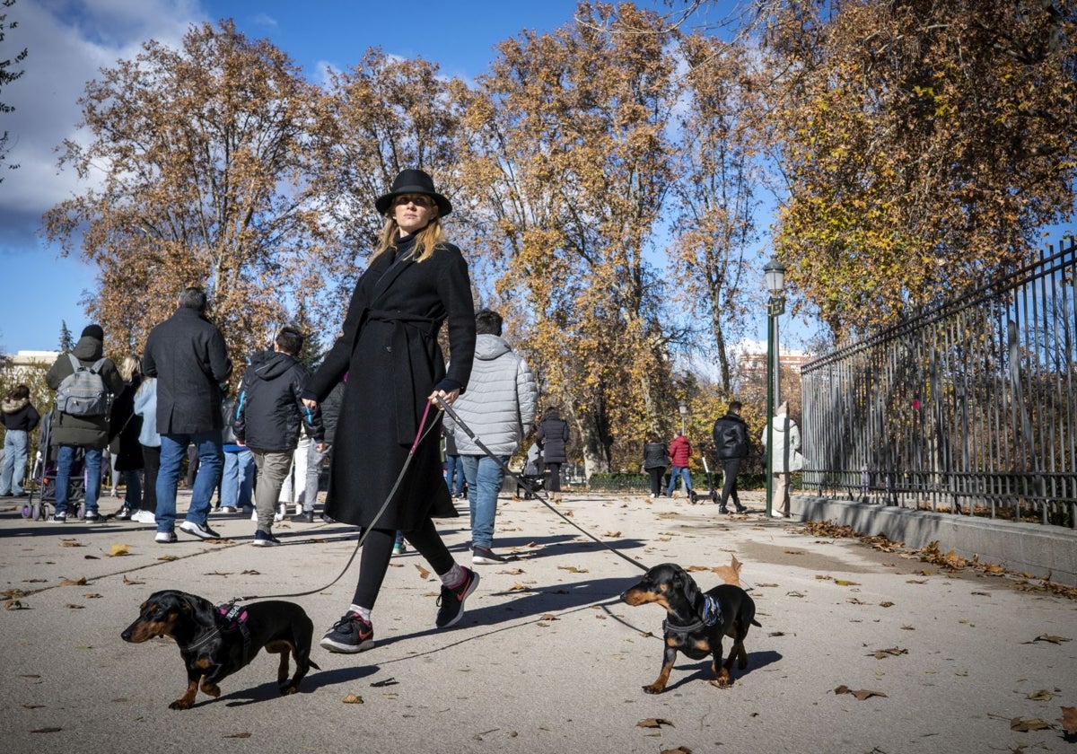 Día mundial de los animales: España obtiene un notable de ciudades &#039;Pet friendly&#039;