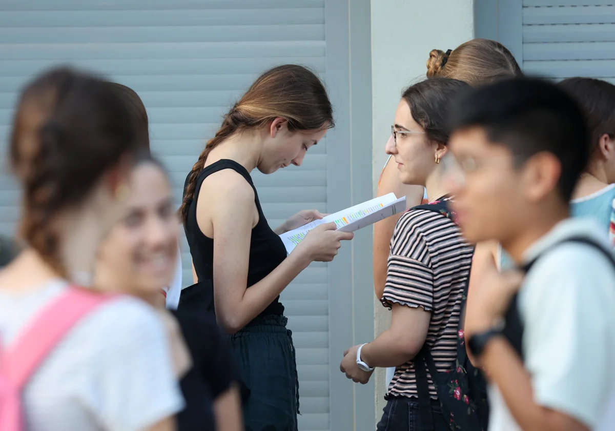 Una joven repasa sus apuntes antes del examen de Selectividad del pasado curso en Córdoba