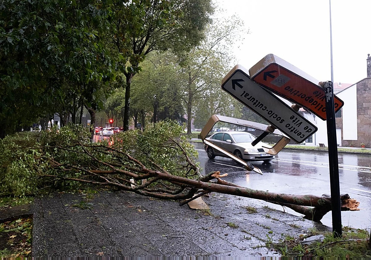 Caída de árboles sobre señales en las inmediaciones de la sede central de la Xunta de Galicia en San Caetano, Santiago