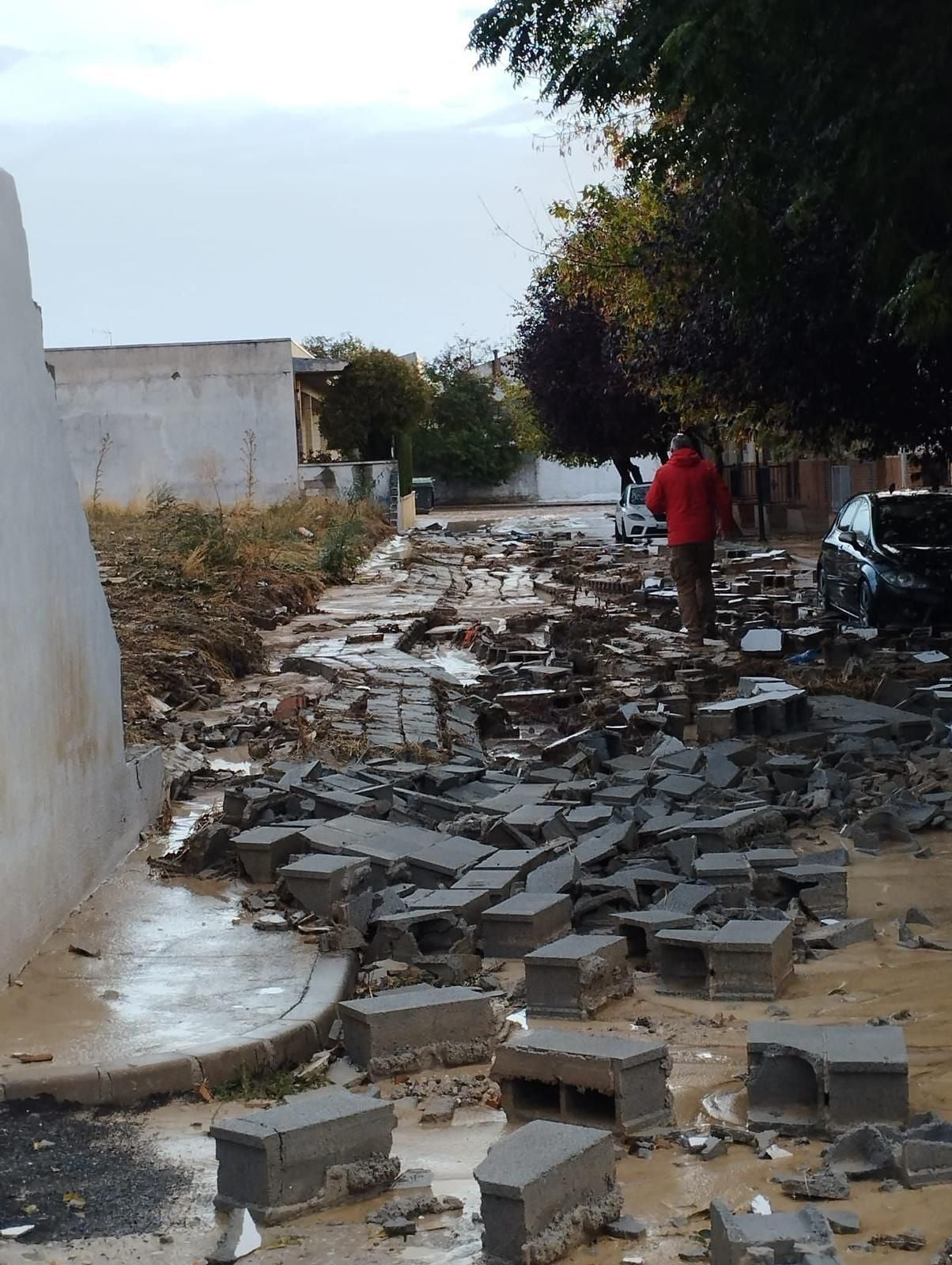 Restos de una casa que se ha desplomado en Guadahortuna, Granada