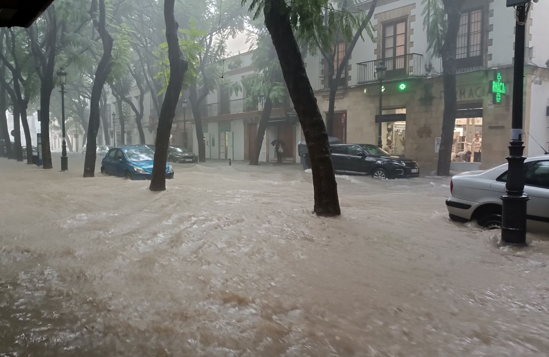 Las consecuencias de la tromba de agua en Cádiz debido a la DANA