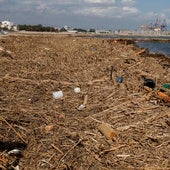 El lodo y las aguas residuales amenazan el ecosistema de La Albufera