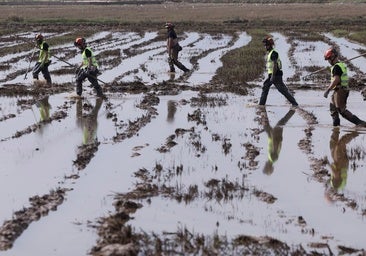 ¿Hay demasiados avisos rojos? Antes de la DANA la Comunidad Valenciana no tuvo ninguno por lluvias en los últimos doce meses