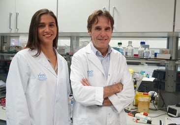 Una nueva terapia CAR-T logra una doble respuesta antitumoral en modelos preclínicos de cáncer de mama HER2+