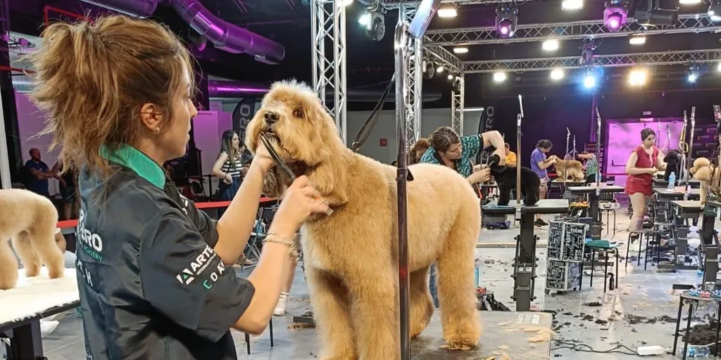 250 perros compiten este fin de semana en el Campeonato Mundial de Peluquería Canina