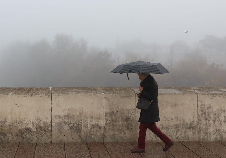 aemet-niebla-k3KE-U603403456056OtD-758x531@diario_abc.jpg