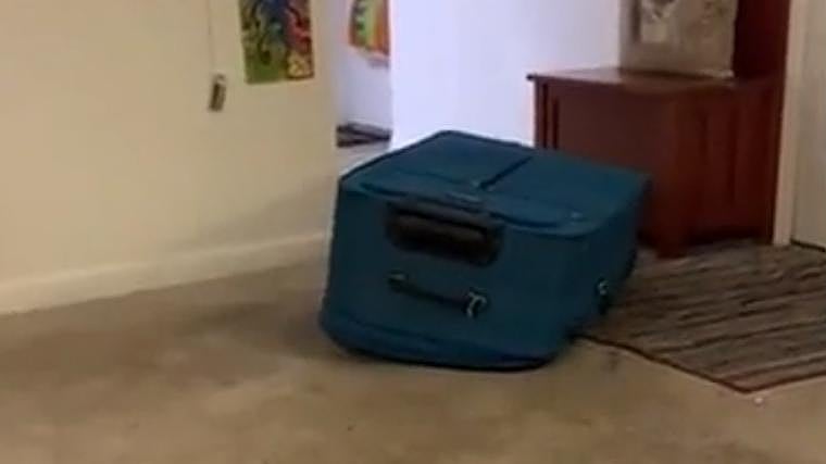 La maleta con Jorge Torres en su interior