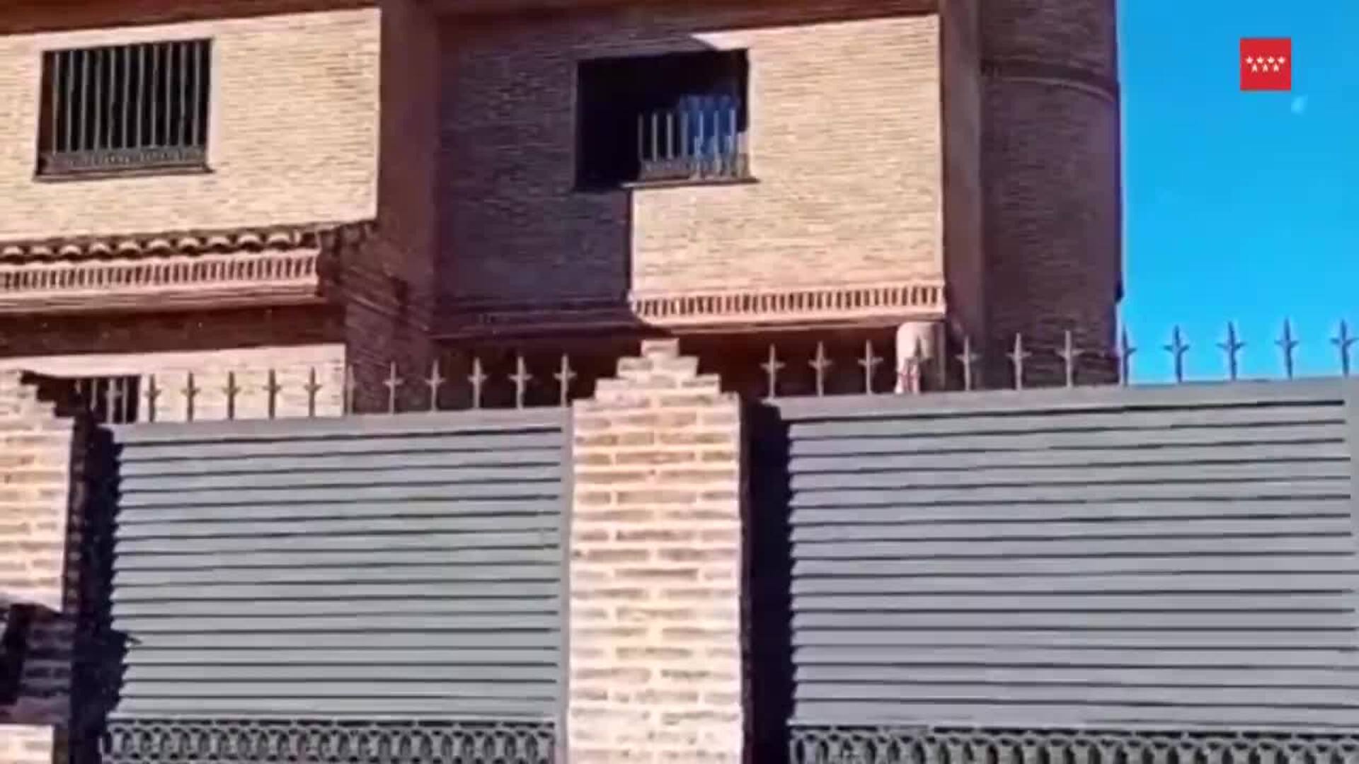 Muere mujer de 55 años en el incendio de una vivienda en Serranillos ...