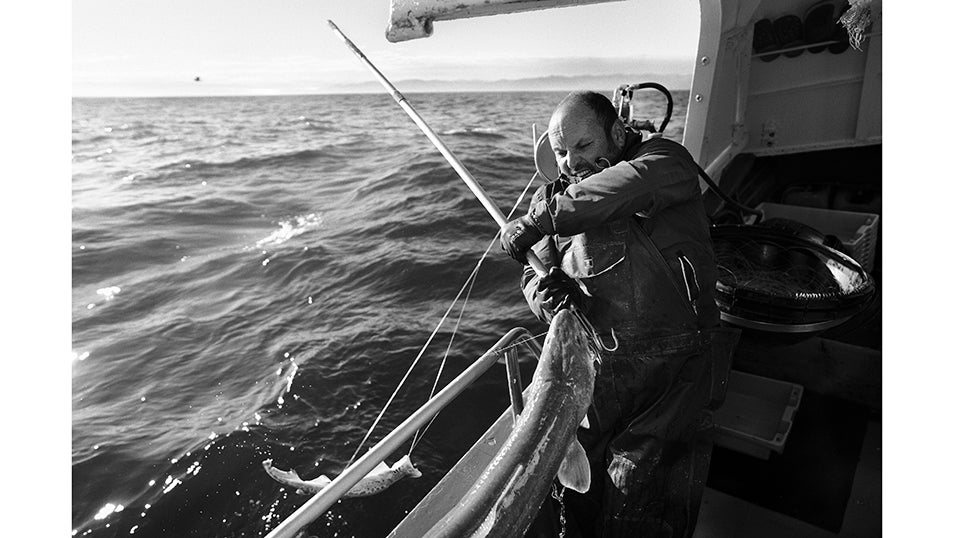 Un viaje al corazón de la pesca que lucha por sobrevivir, en imágenes