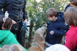 «Soy más bonito por dentro», la iniciativa para educar a los niños sobre la tenencia responsable de perros