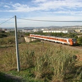 Descarrila un tren de pasajeros en Lugo sin personas heridas, tras atropellar a dos caballos