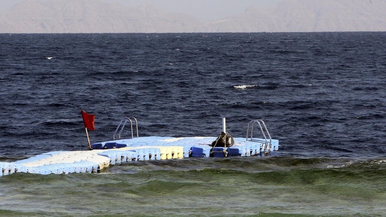 Muere un turista y otro resulta herido por un ataque de un tiburón en aguas del Mar Rojo en Egipto