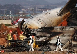 Los expertos ponen en duda el choque con aves como única explicación del accidente aéreo en Corea: «Todo es tremendamente extraño»