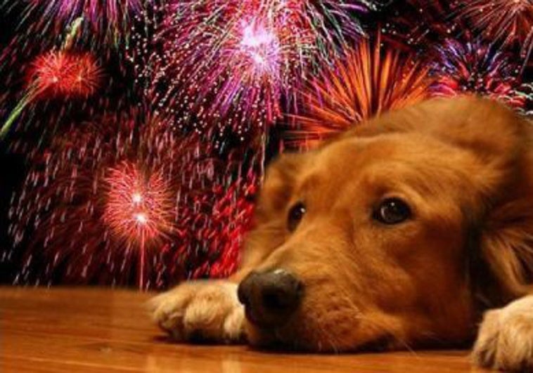 Por qué los fuegos artificiales nunca son una buena idea (y no solo por tus mascotas)