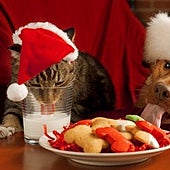 Cuidado con las comilonas de Navidad, también con tus mascotas