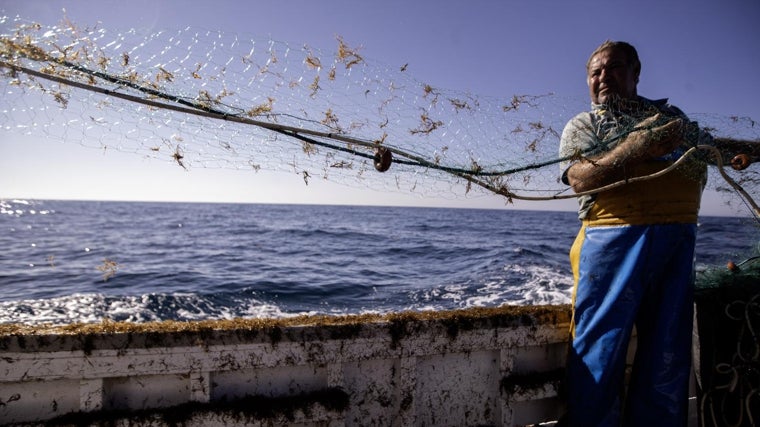 Un pescador en Málaga saca la red llena del alga asiática