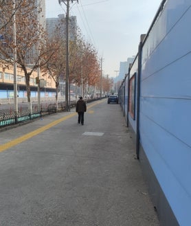 Imagen secundaria 2: arriba, un hombre vende tortugas vivas y mariscos en el Nuevo Mercado de Huanan. Abajo, un camión transporta pollos por Wuhan. Sobre estas líneas, vallas azules rodean el emplazamiento original del Mercado de Huanan, origen de la pandemia. 