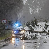 Borrasca Herminia: aviso rojo en varias zonas de España e incidencias por lluvia y fuertes vientos