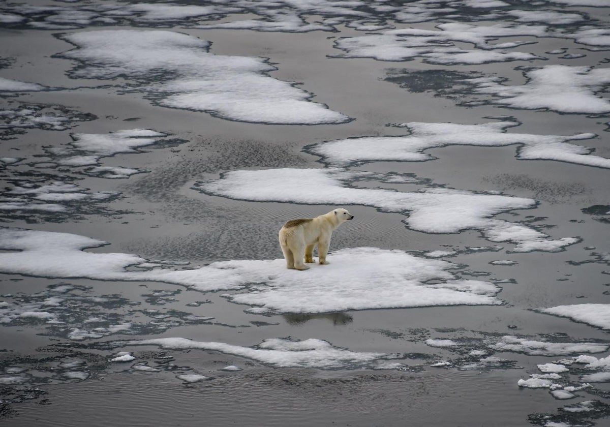 El objetivo climático más ambicioso del Acuerdo de París está perdido