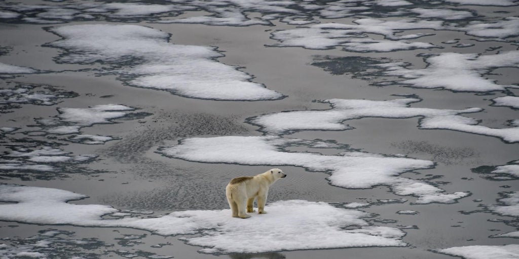 El objetivo climático más ambicioso del Acuerdo de París está perdido