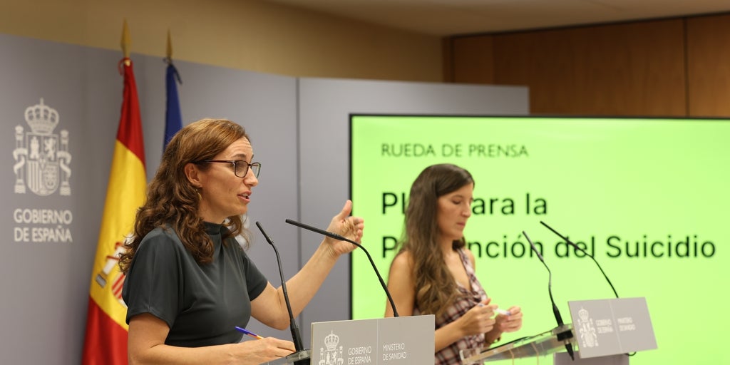 Los psiquiatras se desmarcan del plan de salud mental del Gobierno: «No nos representa»