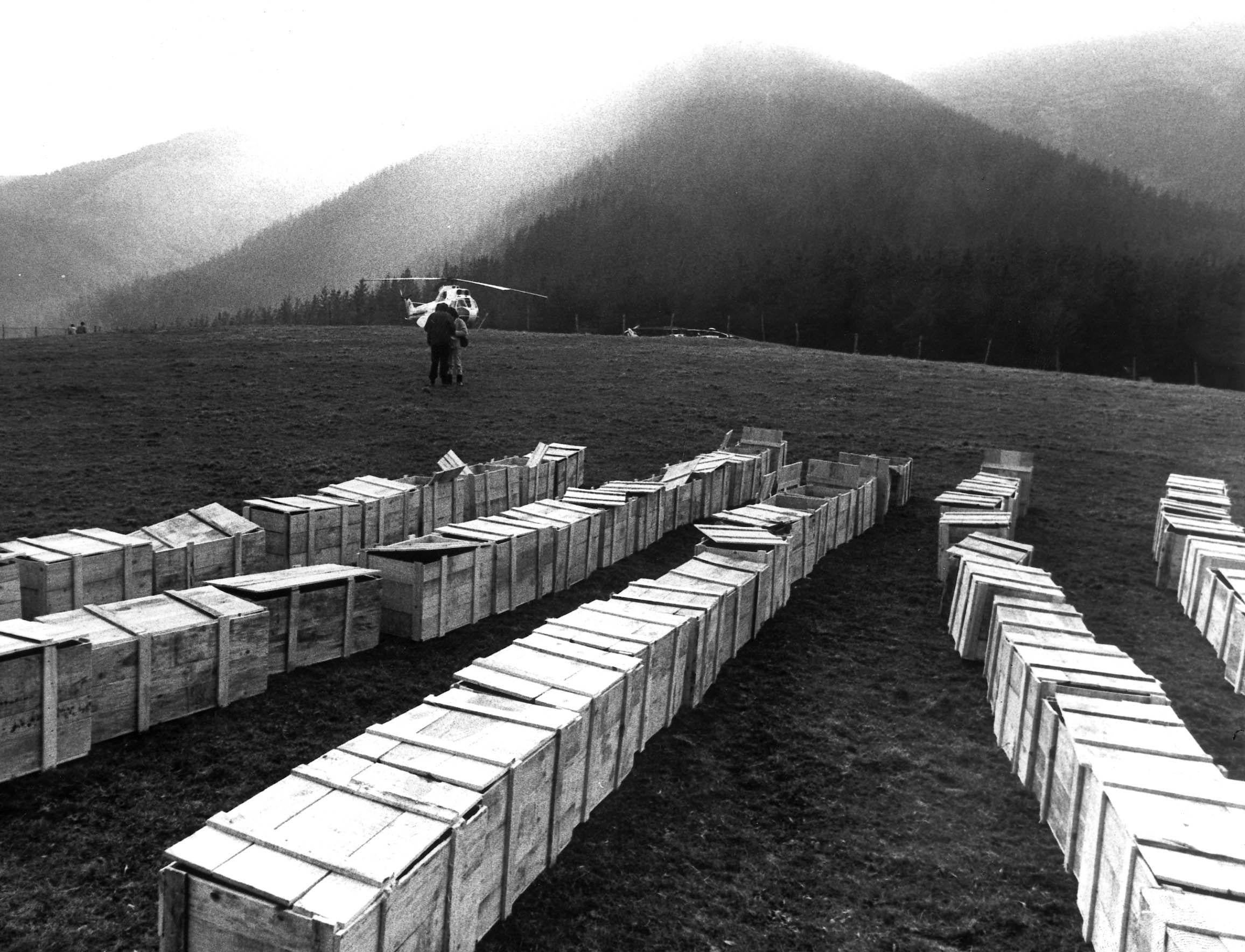 Al ser un vuelo nacional entre semana, muchos de los viajeros eran personas que hacían el trayecto por motivos laborales. Entre otras víctimas, en el avión iban Gonzalo Guzmán, ministro de Trabajo de Bolivia, Isidoro Delclaux, directivo de Vidrieras de Llodio, Julián Vinuesa, empresario teatral y fundador de la cadena Astoria, o Vicente Hidalgo, presidente de Lada Ibérica.