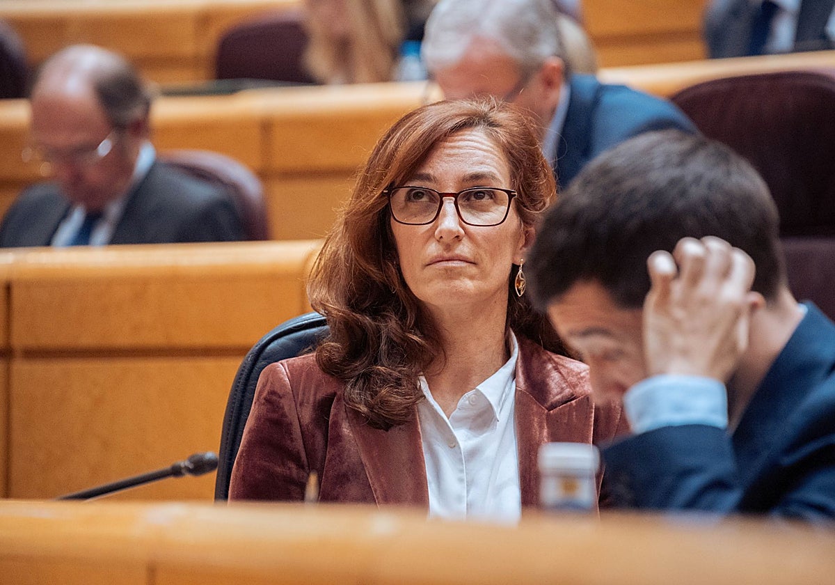 El PP se alinea con psiquiatras y psicólogos y tumba el plan de Sanidad  sobre salud mental