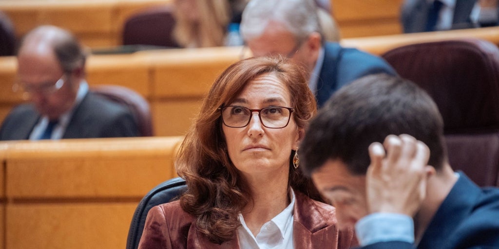 El PP se alinea con psiquiatras y psicólogos y tumba el plan de Sanidad sobre salud mental