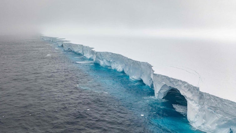 El iceberg más grande del mundo encalla frente a la isla Georgia del Sur, paraíso de pingüinos