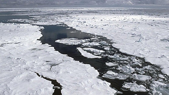 La capa de hielo global bate mínimos en el tercer febrero más cálido