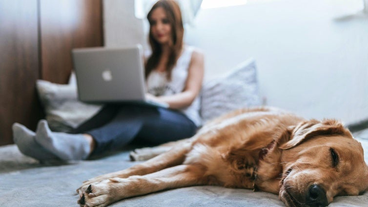 Cómo tener el hogar limpio con una mascota