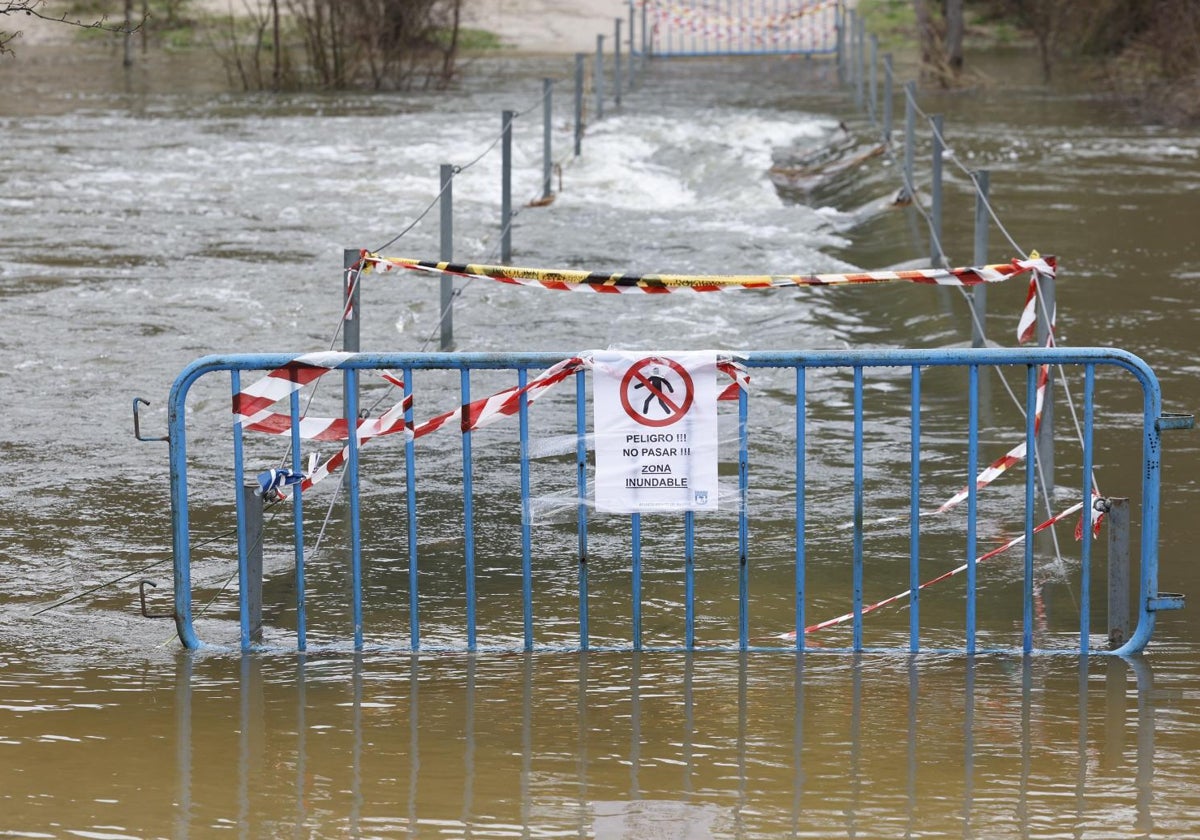 Vista de una pasarela que prohíbe el paso sobre el río Manzanares en El Pardo, por la crecida