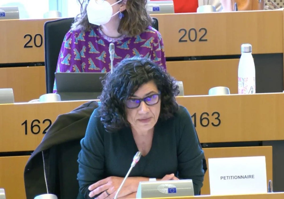 Ana Losada, presidenta de la AEB, en una intervención anterior en la Comisión de Peticiones