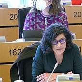 El Parlamento europeo estudiará cómo lograr que Cataluña deje de excluir el español en las aulas