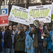 Los veterinarios estallan contra el ministro Planas: «Nos limitan el criterio médico»