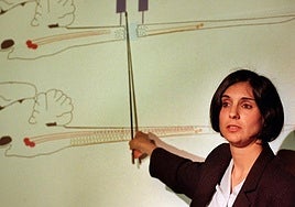 Auge y caída de la investigadora que prometió curar a los lesionados medulares