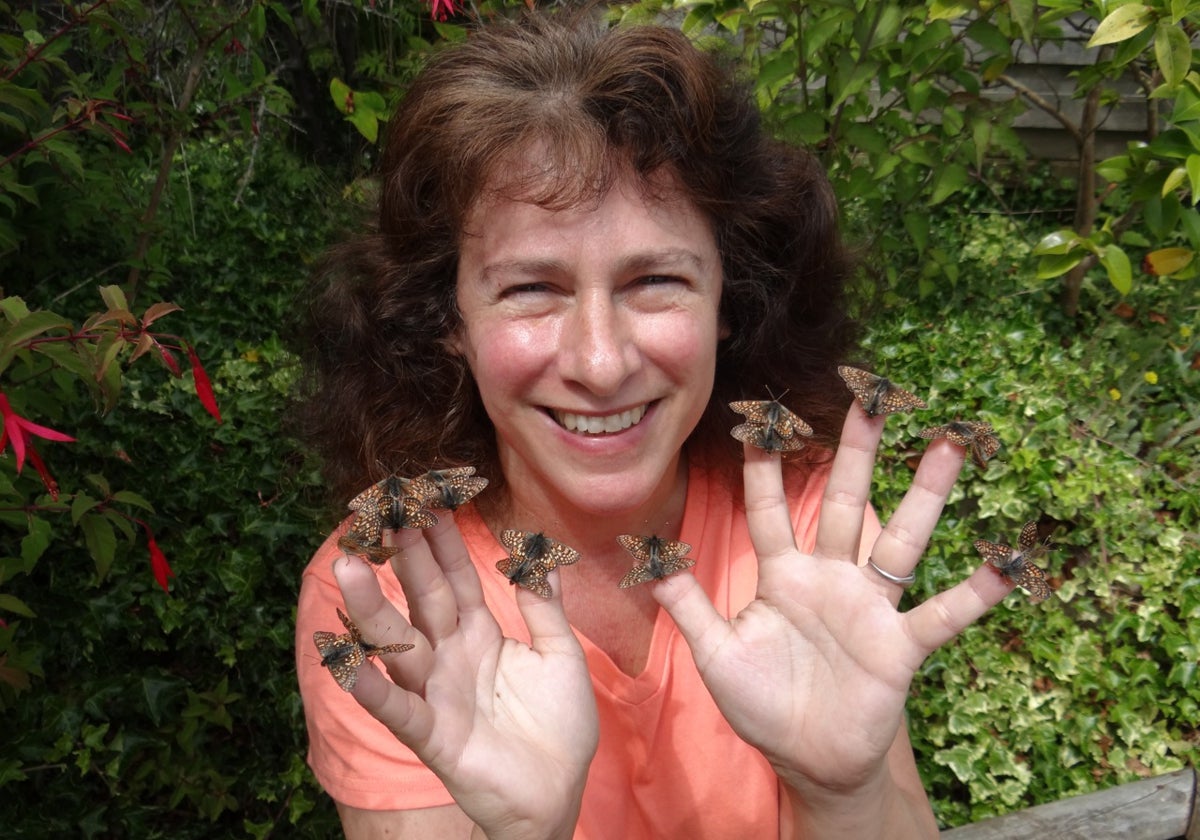 Camille Parmesan comprobó que varias especies de mariposa en Estados Unidos y Europa se estaban desplazando hacia el norte y hacia zonas más elevadas debido al aumento de las temperatura