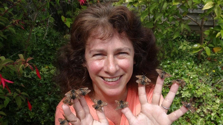 Premio Fronteras a Camille Parmesan por demostrar el impacto del cambio climático sobre el desplazamiento geográfico de las especies