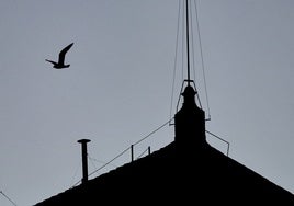 VÍDEO | Todo lo que debes de saber sobre el código de las fumatas del Vaticano