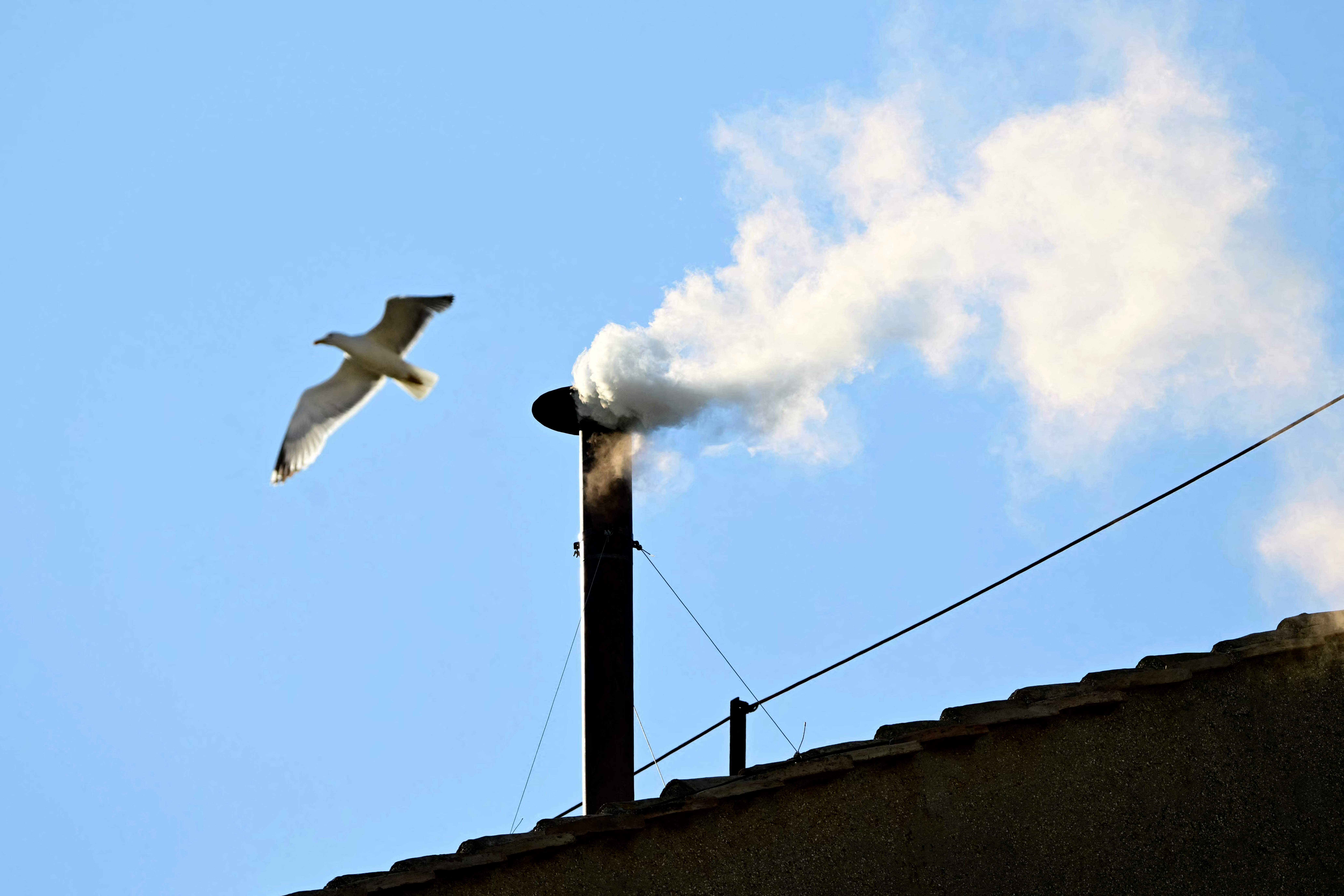 Una gaviota sobrevuela la chimenea mientras sale fumata blanca desde la Capilla Sixtina.