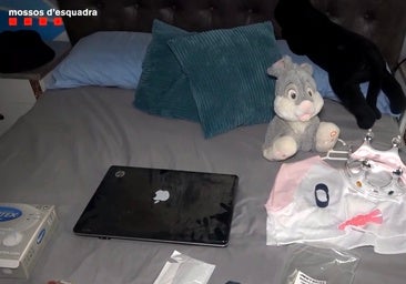 Cuando quien tutela no ampara: menores vulnerables en redes de pederastia