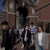 Pánico entre los españoles de Harvard: «Están echando a potenciales premios Nobel»