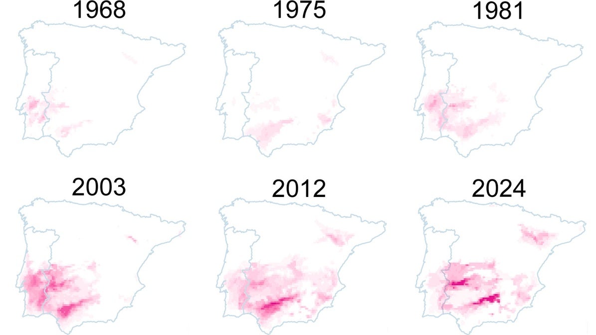 Mapa | ¿Cuánto ha subido la temperatura en tu municipio con el cambio climático?