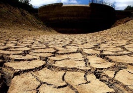 Cada segundo se seca en la Tierra el mismo terreno que cuatro campos de fútbol juntos