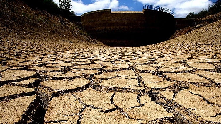 Cada segundo se seca en la Tierra el mismo terreno que cuatro campos de fútbol juntos