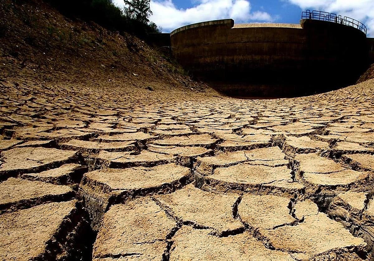 Tierra agrietada