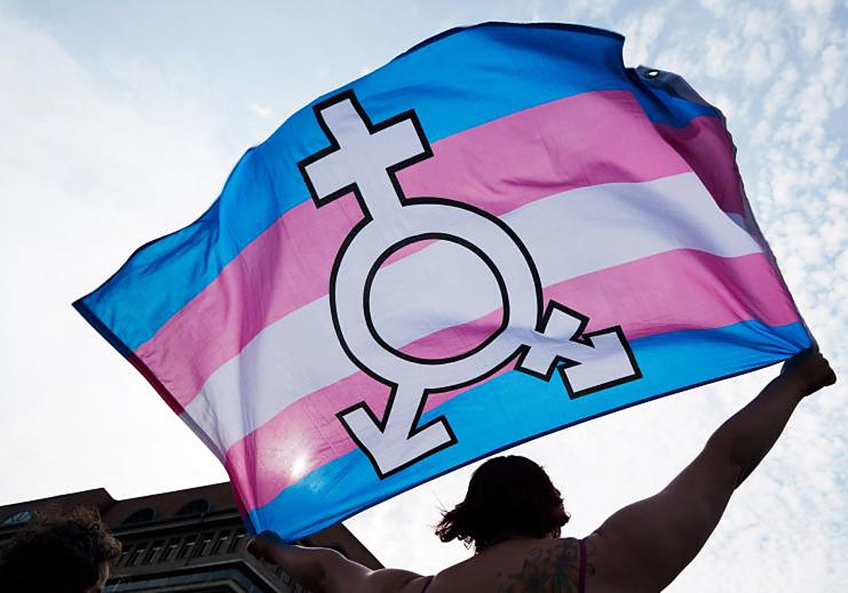 Grupos feministas piden la inconstitucionalidad de la ley Trans con ...