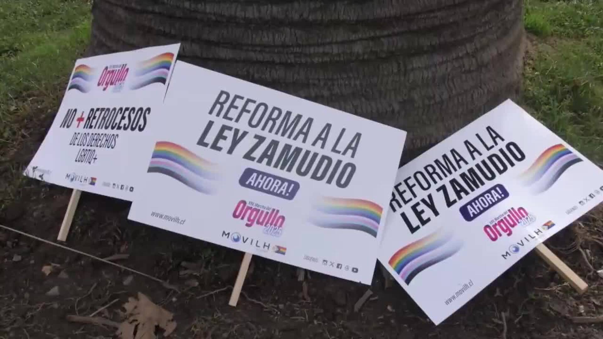 Miles marchan en Chile en la Marcha del Orgullo ante el &quot;retroceso&quot; de derechos LGBTIQA+