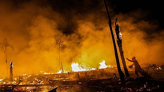 La superficie quemada en el Amazonas brasileño en 2024 duplicó los registros de los últimos 40 años